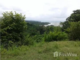  Land for sale in Panama, Limones, Baru, Chiriqui, Panama