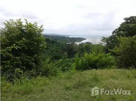  Земельный участок for sale in Панама, Limones, Baru, Chiriqui, Панама