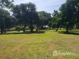 ขายที่ดิน ใน ห้วยสัก, เชียงราย, ห้วยสัก, เมืองเชียงราย, เชียงราย