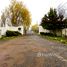  Land for sale in Chile, Rauco, Curico, Maule, Chile
