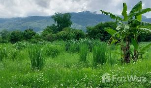 N/A Land for sale in Don Kaeo, Chiang Mai 