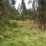  Land for sale in Deleg, Canar, Solano, Deleg