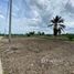  Земельный участок for sale in Wat Lamut, Nakhon Pathom, Wat Lamut, Nakhon Chai Si, Nakhon Pathom