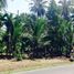  Land for sale in Limon, Limon, Limon