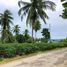  Land for sale in Si Racha, Chon Buri, Nong Kham, Si Racha