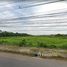  Terrain for sale in Mueang Rayong, Rayong, Choeng Noen, Mueang Rayong