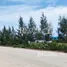  Land for sale in Phanthai Norasing, Samut Sakhon, Phanthai Norasing, Mueang Samut Sakhon, Samut Sakhon, Thailand