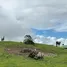  Land for sale in Perez Zeledon San Jose, Perez Zeledon, San Jose, Costa Rica