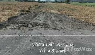 N/A Grundstück zu verkaufen in Phra Non, Nakhon Sawan 
