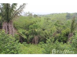 Orellana Yasuni VISTA MAR - : Master Planned Community With Panoramic Ocean Views & Nestled in the Lush Jungle Veget, Olón, Santa Elena N/A 土地 售 