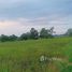  Land for sale in Phichit, Sak Lek, Sak Lek, Phichit