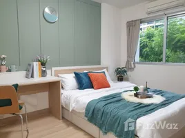 คอนโด 1 ห้องนอน ให้เช่า ในโครงการ มาย คอนโด สุขุมวิท 81, บางจาก