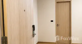 Verfügbare Objekte im Siamese Exclusive 42