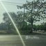  Land for sale in BTS Station, Bangkok, Lam Toiting, Nong Chok, Bangkok