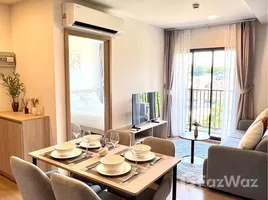 2 Bedroom Condo for rent at THE BASE Bukit, Wichit, Phuket Town, Phuket, Thailand