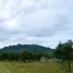  Land for sale in Khlung, Chanthaburi, Khlung