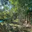  Land for sale in Sai Yai, Nonthaburi, Sai Yai, Sai Noi, Nonthaburi