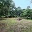 6 Bedroom House for sale in Guacimo Limon, Guacimo, Limon