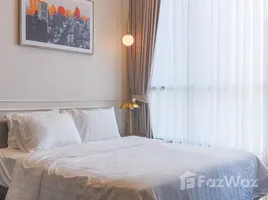 คอนโด 1 ห้องนอน ให้เช่า ในโครงการ พาร์ค ออริจิ้น ทองหล่อ, คลองตันเหนือ, วัฒนา