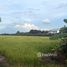  Land for sale in Thailand, Bang Yai, Bang Yai, Nonthaburi, Thailand