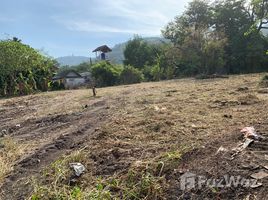  Terrain for sale in Chalong, Phuket Town, Chalong