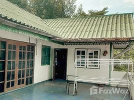 6 спален Дом for sale in Chiang Mai University Demonstration School, Suthep, Suthep