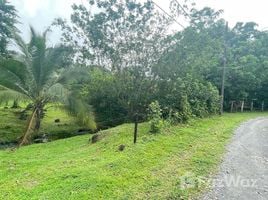  Terreno (Parcela) en venta en Costa Rica, Pococi, Limón, Costa Rica