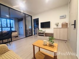 1 Bedroom Condo for rent at Dcondo Reef Phuket, Kathu, Kathu