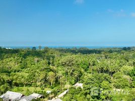 ขายที่ดิน ใน อ่างทอง, สุราษฎร์ธานี, อ่างทอง