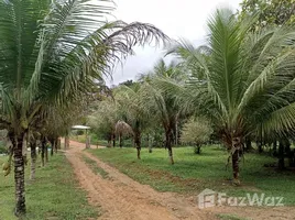  Terreno for sale in Brasil, Presidente Figueiredo, Amazonas, Brasil