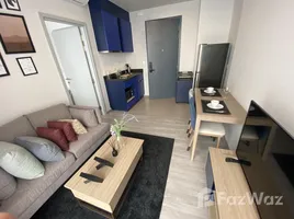 1 Bedroom Apartment for rent at XT Ekkamai, Khlong Tan Nuea, Watthana, Bangkok