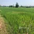  Land for sale in Um Chan, Sakon Nakhon, Um Chan