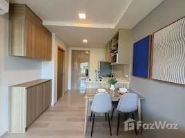 1 Bedroom Condo for rent at The Base Cherngtalay, Choeng Thale, Thalang