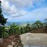  Land for sale in Chaweng Beach, Bo Phut, Bo Phut