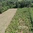  Terreno (Parcela) en venta en Costa Rica, Guacimo, Limón, Costa Rica