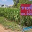 ขายที่ดิน ใน วังขนาย, กาญจนบุรี, วังขนาย, ท่าม่วง, กาญจนบุรี