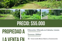  bedroom Land for sale at in Limon, Costa Rica