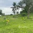  Land for sale in Nong Kae, Hua Hin, Nong Kae