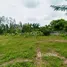  Land for sale in Phe, Rayong, Phe, Mueang Rayong, Rayong, Thailand