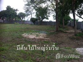 在清莱出售的 土地, Rop Wiang, Mueang Chiang Rai, 清莱