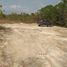  Land for sale in Penonome, Cocle, Cocle, Penonome