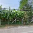  Terreno (Parcela) en venta en Tha Raeng, Bangkok, Tha Raeng, Bang Khen, Bangkok
