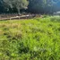  Grundstück zu verkaufen im Cerro Verde, San Felipe De Puerto Plata