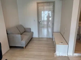1 Bedroom Condo for rent at Life One Wireless, Lumphini, Pathum Wan, Bangkok, Thailand