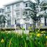 Estudio Villa en venta en Hanoi International American Hospital, Dich Vong, Quan Hoa