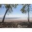  Land for sale in Puntarenas, Aguirre, Puntarenas