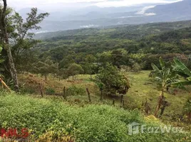  Terrain for sale in Antioquia, Tamesis, Antioquia