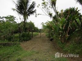  Land for sale in Limon, Siquirres, Limon