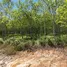 ขายที่ดิน ใน ป่าคลอก, ภูเก็ต, ป่าคลอก, ถลาง, ภูเก็ต, ไทย