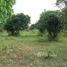  Land for sale in Kaeng Khoi, Saraburi, Tha Khlo, Kaeng Khoi